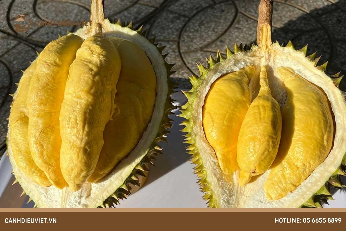 Nguyên nhân gây ra sự sụt giá sầu riêng Musang King so với trước đây