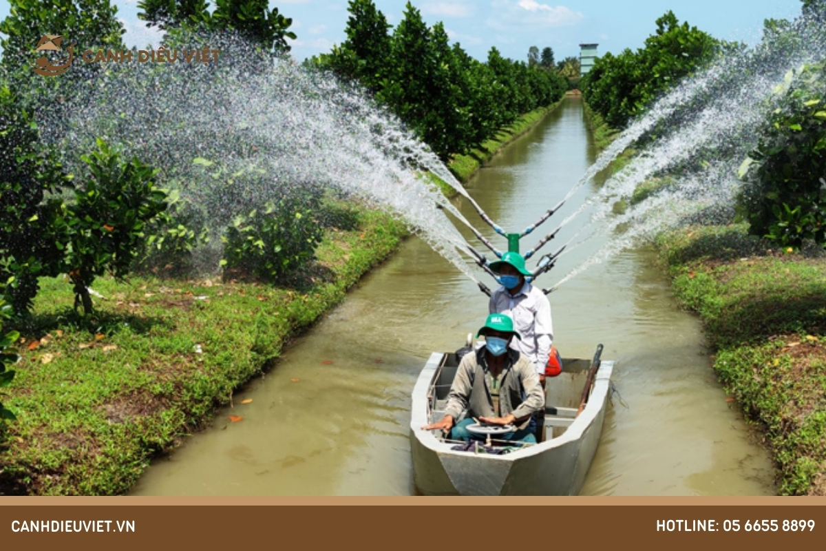 Phương pháp chăm sóc và bảo vệ cây ăn quả á nhiệt đới