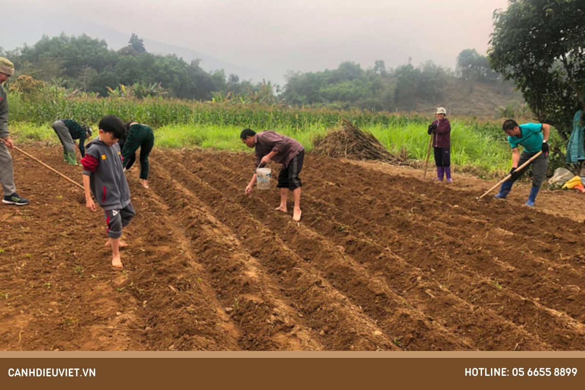 Biện pháp canh tác đất trước khi gieo trồngBiện pháp canh tác đất trước khi gieo trồng