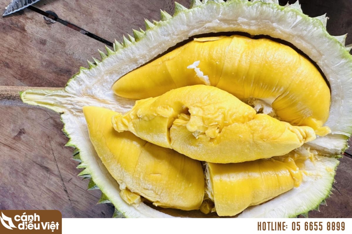 Giống sầu riêng musang king