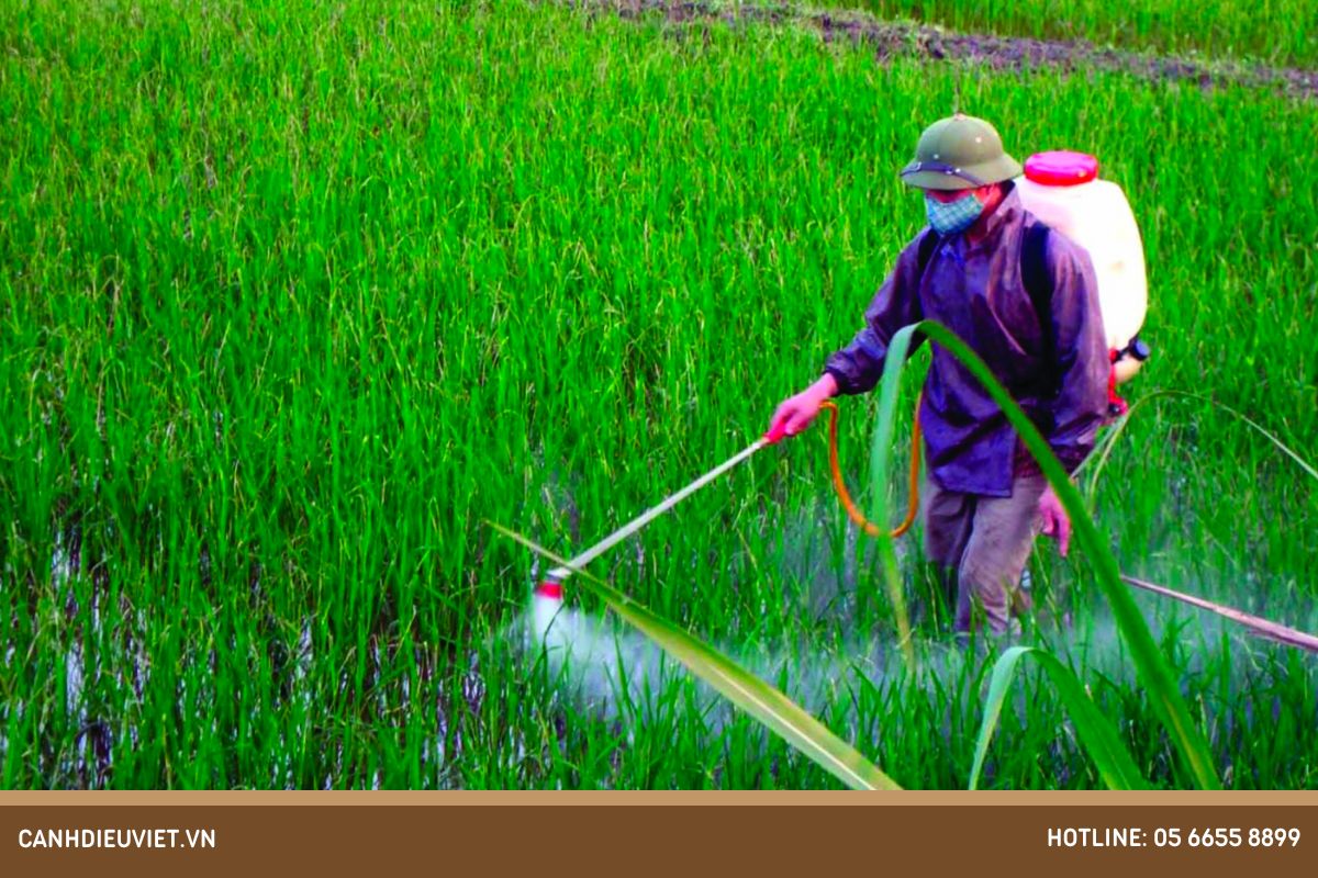 Nên sử dụng hóa chất nông nghiệp như thế nào để đảm bảo an toàn