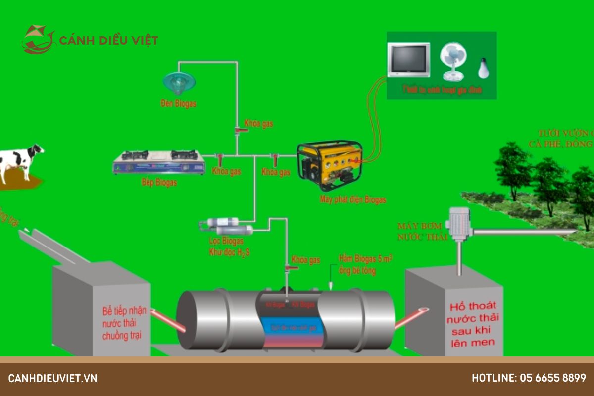 Xử lý chất thải chăn nuôi bằng công nghệ biogas