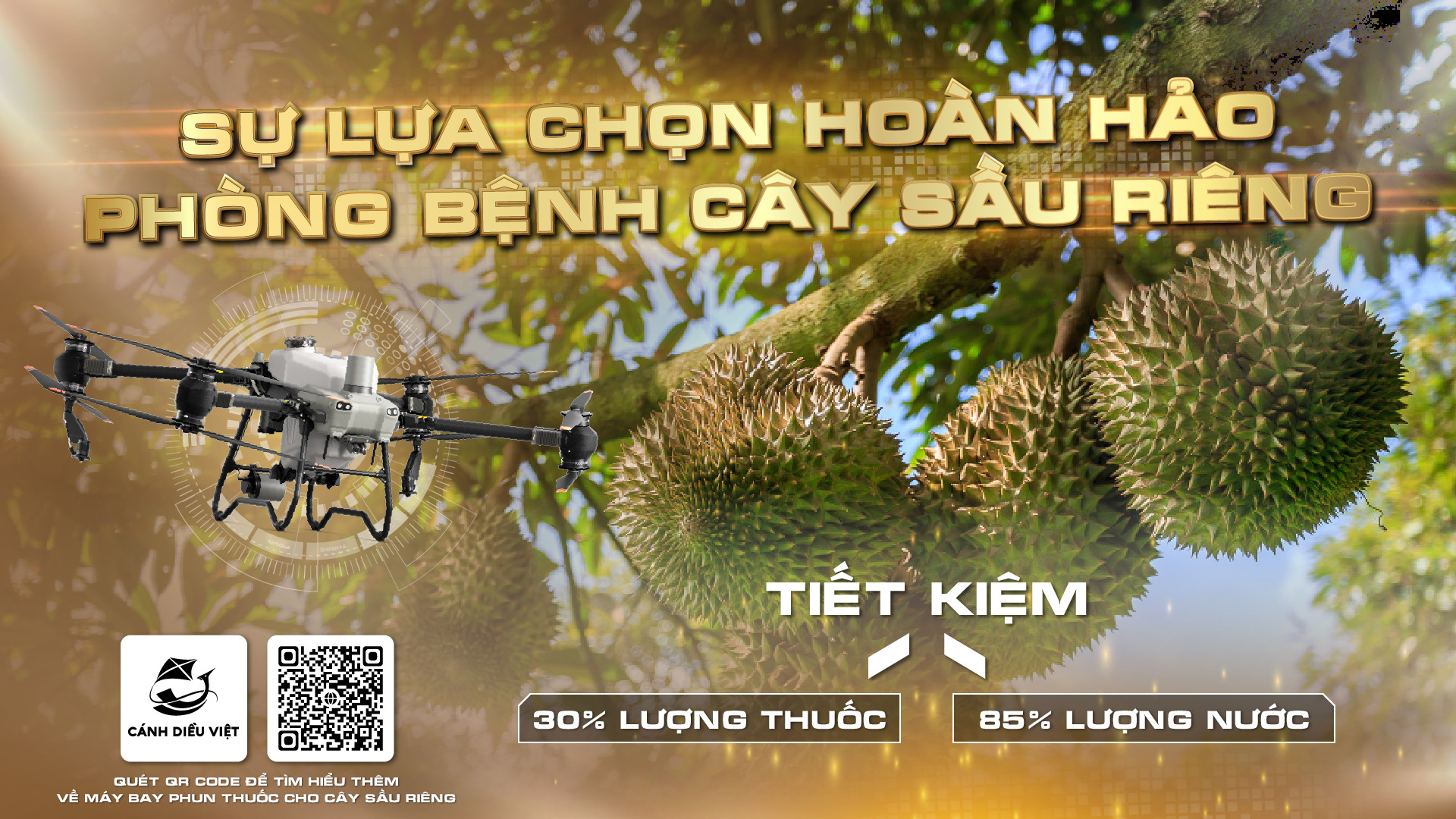 dji t50 sau rieng